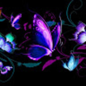 Meet your Posher, Harriet